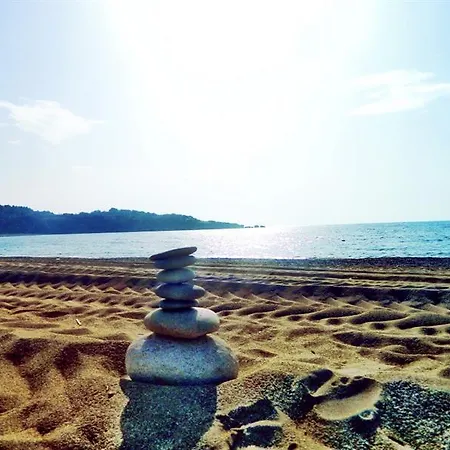 Mira Meridia Okurcalar