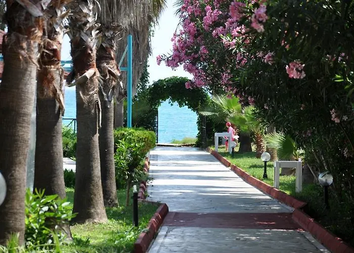 Rezort Mira Meridia Okurcalar